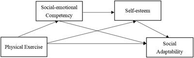 Effect of physical exercise on social adaptability of college students: Chain intermediary effect of social-emotional competency and self-esteem